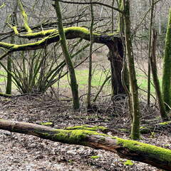 24-02-26 14-53-05 8716